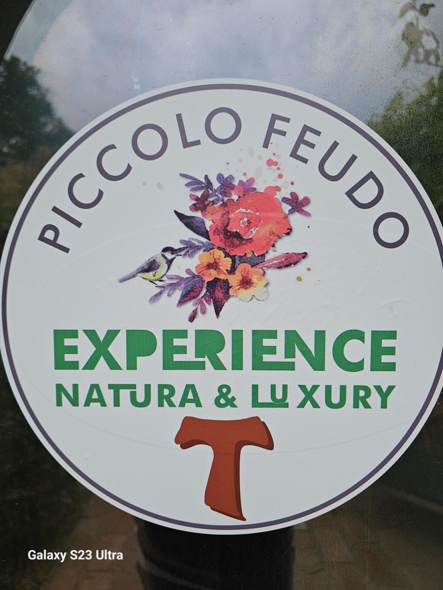 Piccolo Feudo Green Resort (Adults Only) Viterbo Szoba fotó